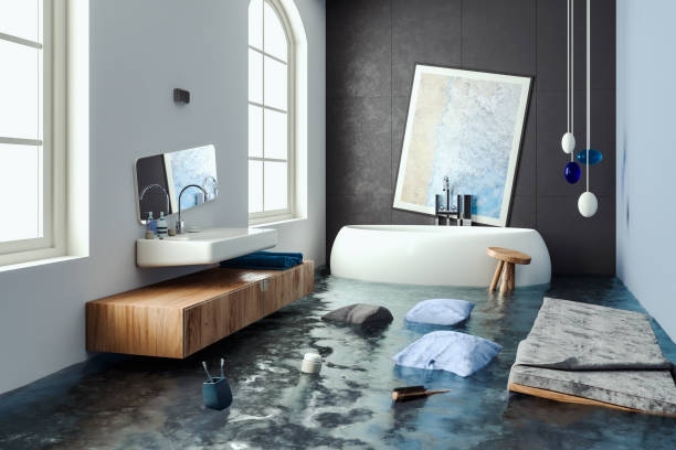 Best Professional water damage repair  in Mayer, MN