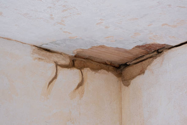 Best Commercial water damage restoration  in Mayer, MN