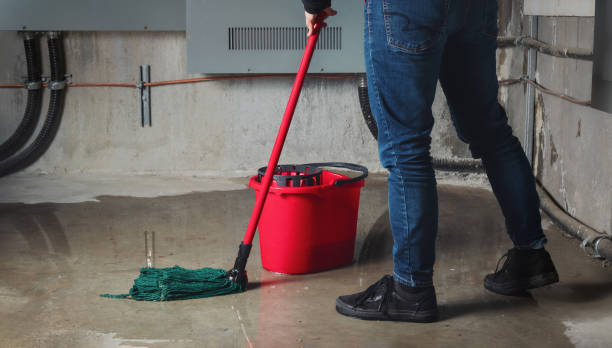 Best Residential water damage restoration  in Mayer, MN