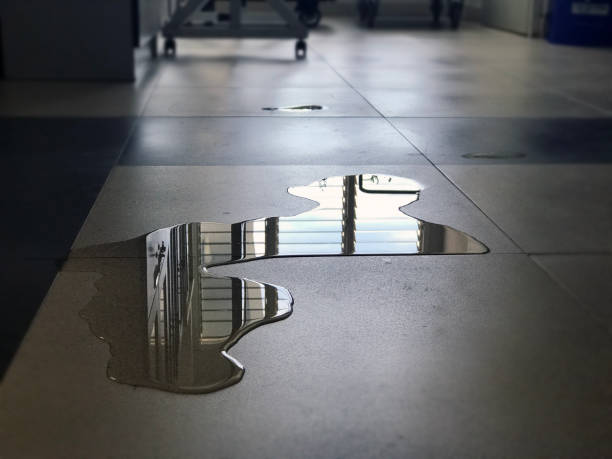 Best Emergency water damage restoration  in Mayer, MN