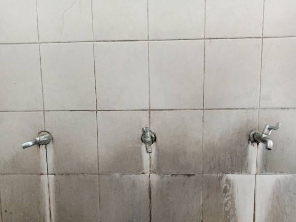 Mayer, MN Water damage restoration Company