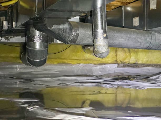 Best Flood restoration services  in Mayer, MN