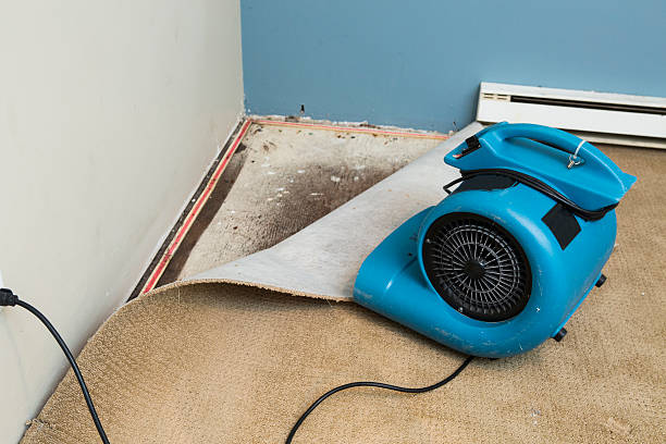 Local water damage restoration in Mayer, MN